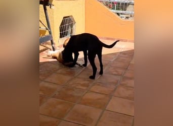 Winnie sucht eine Pflege- oder Endstelle