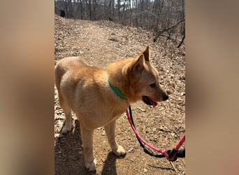 Bud, sanfter Gentleman