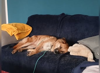 Najma - neugierig, mutig & freundlich