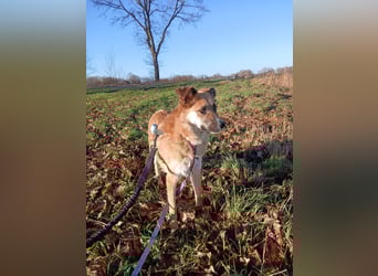 Najma - neugierig, mutig & freundlich