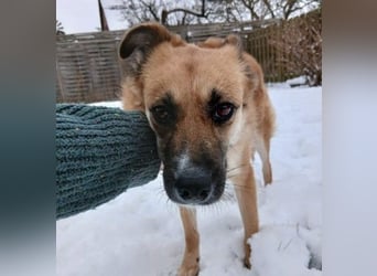 Najma - neugierig, mutig & freundlich