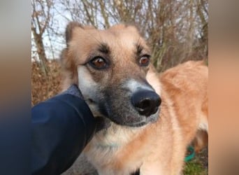 Najma - neugierig, mutig & freundlich