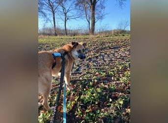 Najma - neugierig, mutig & freundlich