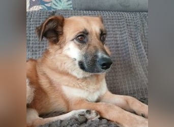 Najma - neugierig, mutig & freundlich