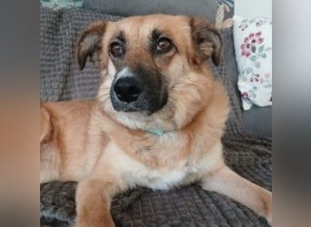 Najma - neugierig, mutig & freundlich