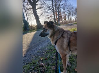 Najma - neugierig, mutig & freundlich