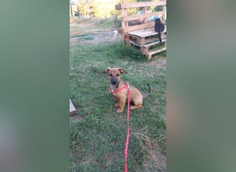 Beany - ein kleines Wunder sucht ihr Glück
