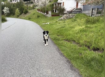 Meadow wünscht sich eine Familie
