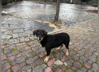 River sucht sein Für-Immer-Körbchen