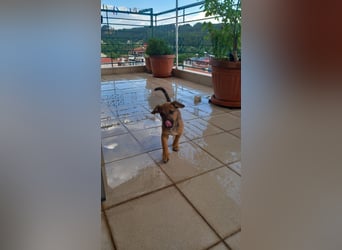 Beany - ein kleines Wunder sucht ihr Glück
