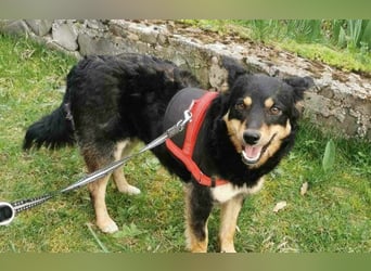 menschenbezogene Mali