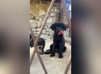 schwerer Start für Samira