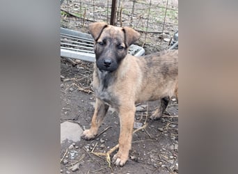 YUKI - süß, sanft, freundlich