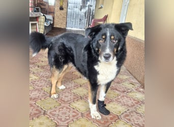 ZEN - der Junge, der sein Glück sucht