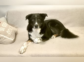 ZEN - der Junge, der sein Glück sucht