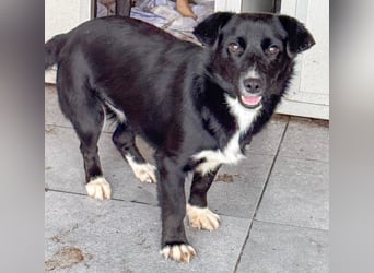 HERA - Zaubermaus sucht ihre Menschen