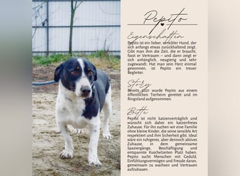 PEPITO - er wartet schon so lange