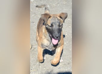 YUKI - süß, sanft, freundlich