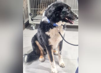 ZEN - der Junge, der sein Glück sucht