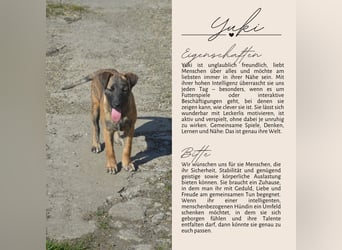 YUKI - süß, sanft, freundlich