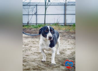 PEPITO - er wartet schon so lange