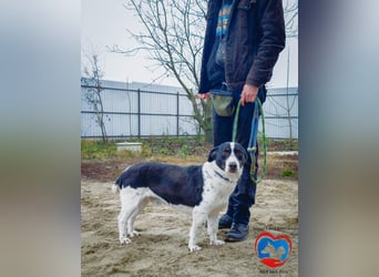 PEPITO - er wartet schon so lange