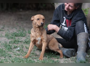 Lucky startet mit deiner Hilfe in sein neues Leben