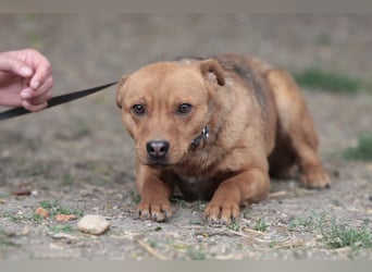 Lucky startet mit deiner Hilfe in sein neues Leben