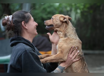 Lucky startet mit deiner Hilfe in sein neues Leben