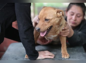 Lucky startet mit deiner Hilfe in sein neues Leben