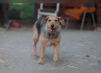 Leilani sucht ein Körbchen gerne zu zweit