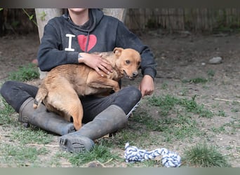 Lucky startet mit deiner Hilfe in sein neues Leben
