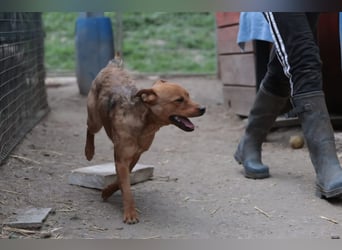 Lucky startet mit deiner Hilfe in sein neues Leben