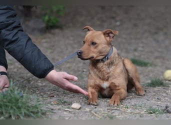 Lucky startet mit deiner Hilfe in sein neues Leben
