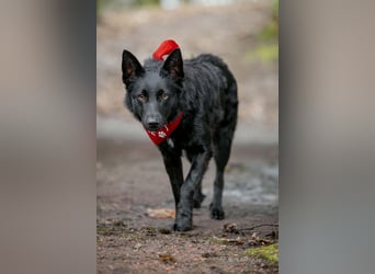 Schönheit Emma in 45138 Essen