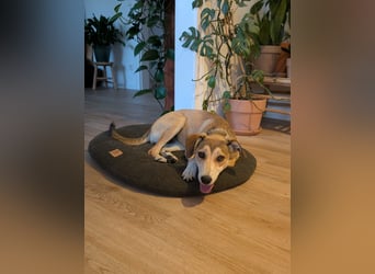 Süße Livia