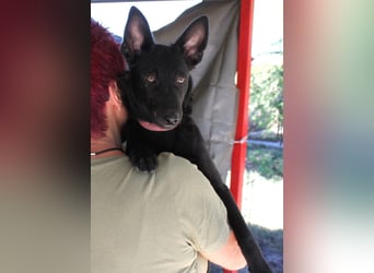 Schönheit Emma in 45138 Essen