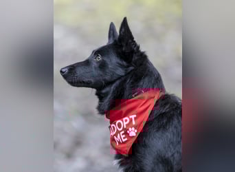 Schönheit Emma in 45138 Essen