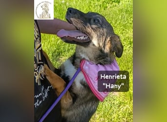 Hany – neugierig, frech und unwiderstehlich!