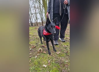 Schönheit Emma in 45138 Essen