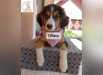 Tiffany – Man ist nie zu klein, um für jemanden die ganze Welt zu sein!