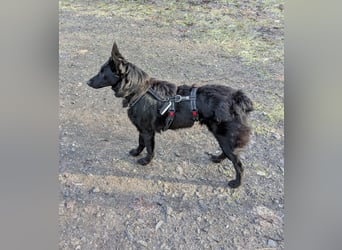 Schönheit Emma in 45138 Essen