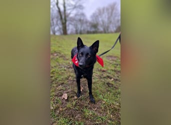 Schönheit Emma in 45138 Essen