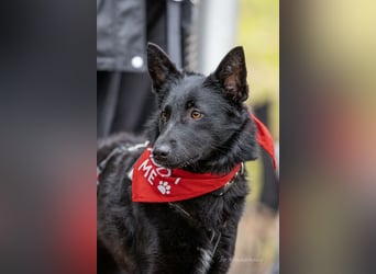 Schönheit Emma in 45138 Essen