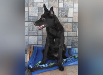 Schönheit Emma in 45138 Essen