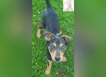 Ana – junges Mädchen, große Pläne!