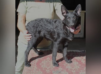 Schönheit Emma in 45138 Essen