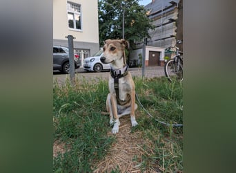 Süße Livia