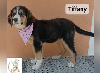 Tiffany – Man ist nie zu klein, um für jemanden die ganze Welt zu sein!