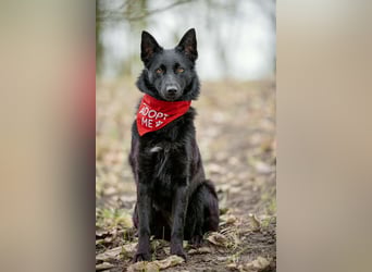 Schönheit Emma in 45138 Essen